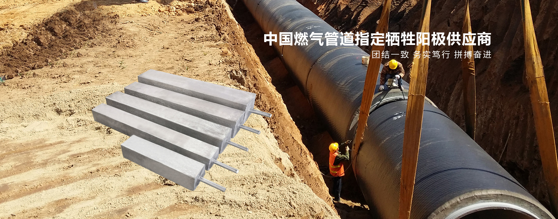 安博网页版
